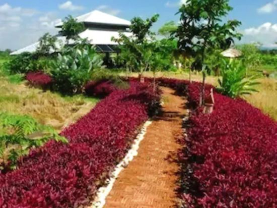 Others 2, Baan Chai Thung Resort, Doi Saket