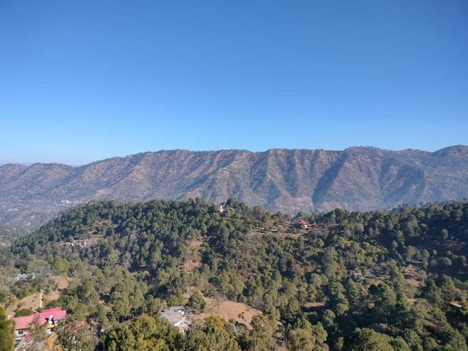 Miscellaneous 2, MINT Pine Forest Resort, Solan