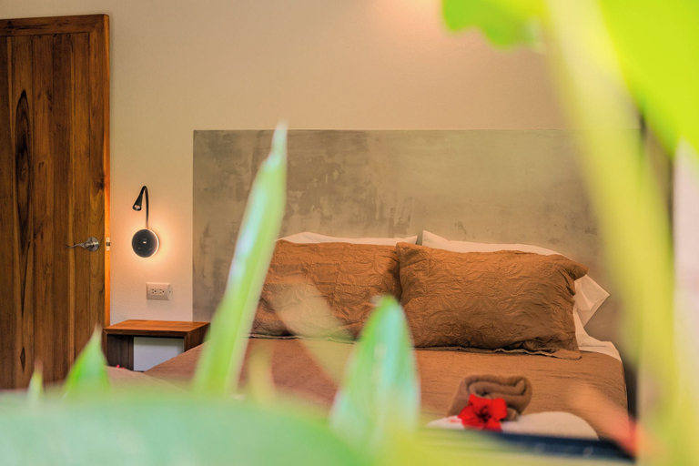 Room 1, Feeling Trees Lodge, Puntarenas