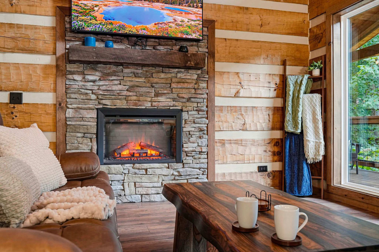 Room 4, Black Bear Ln in Sevierville, Sevier