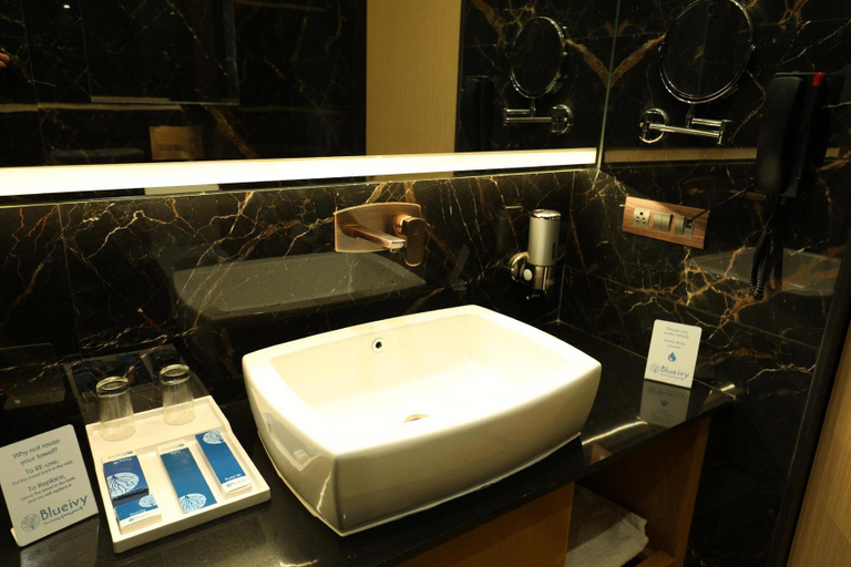 Bathroom 3, Hotel Blueivy, Anand