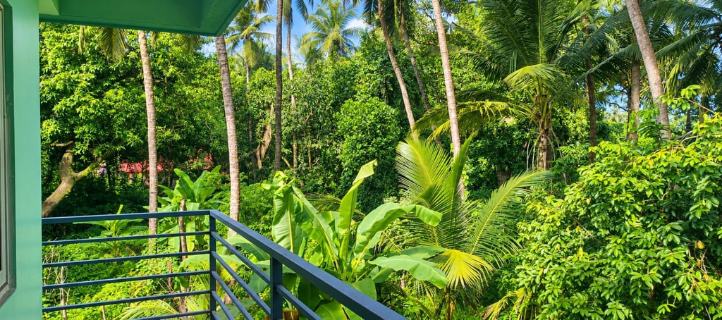 Property grounds, Harmony Guest House Siolim, Goa, North Goa