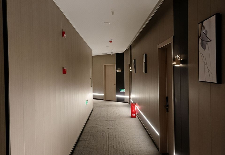 Others 5, Dianjiang BORUI HOTEL, Chongqing
