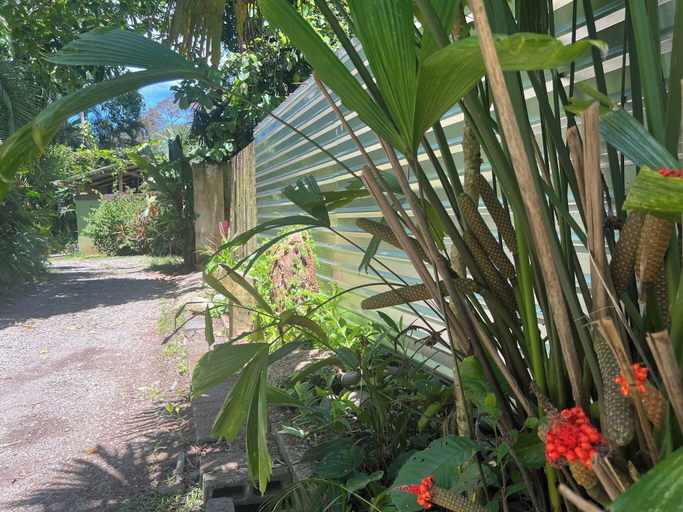 Property grounds 5, Private Jungle Retreat w Lagoon, Walk to Beach, Talamanca