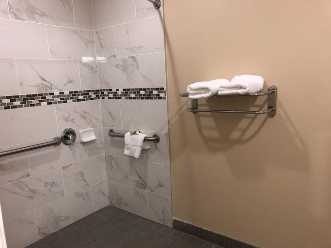 Bathroom 4, Downtowner Inn, Houston