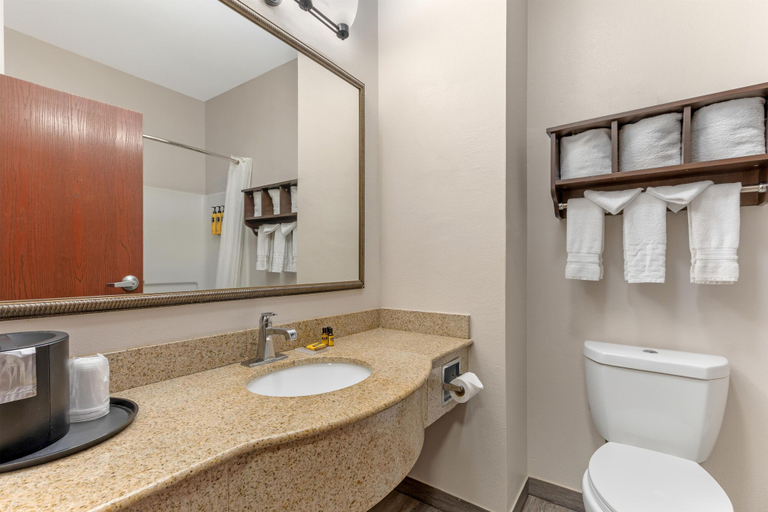 Bathroom 4, Best Western Plus Lake Dallas Inn & Suites, Denton