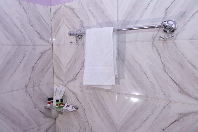 Bathroom 5, THE ROYAL KING, Gurgaon