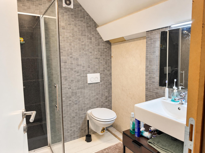 Bathroom, Gent Moments House with Pool Table, Oost-Vlaanderen