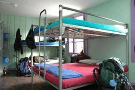 Other 3, Funny Farm Backpackers, Interlaken