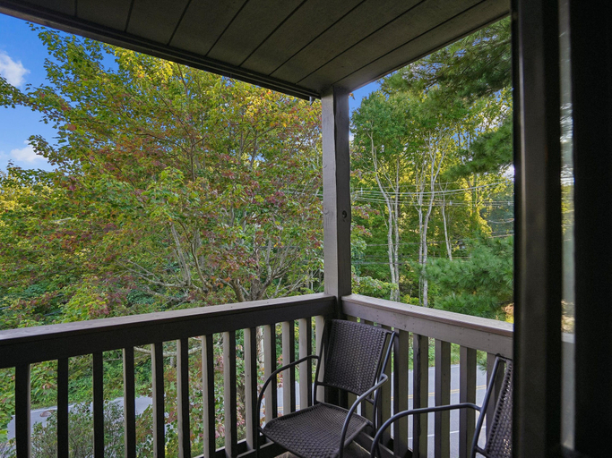 Property amenity 3, First Cub 1301, Sevier