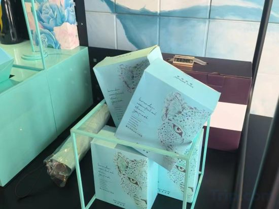 Hotel Interior/Public Areas