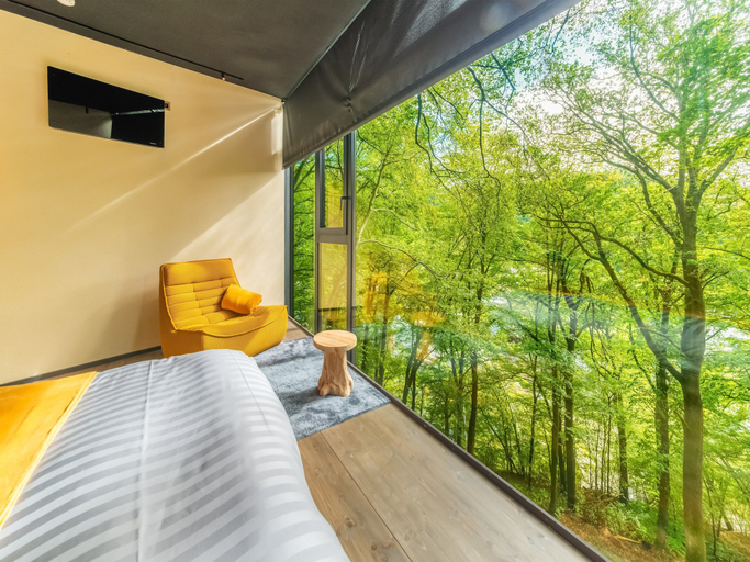 Room 2, Under the Canopy: Wood Ragwort Hut, Luxembourg