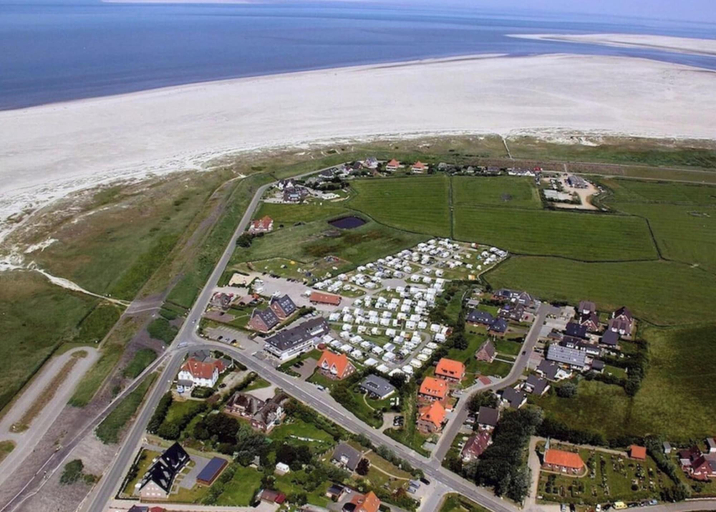 Aerial view, Utholm 10 - Black-headed Gull, Nordfriesland