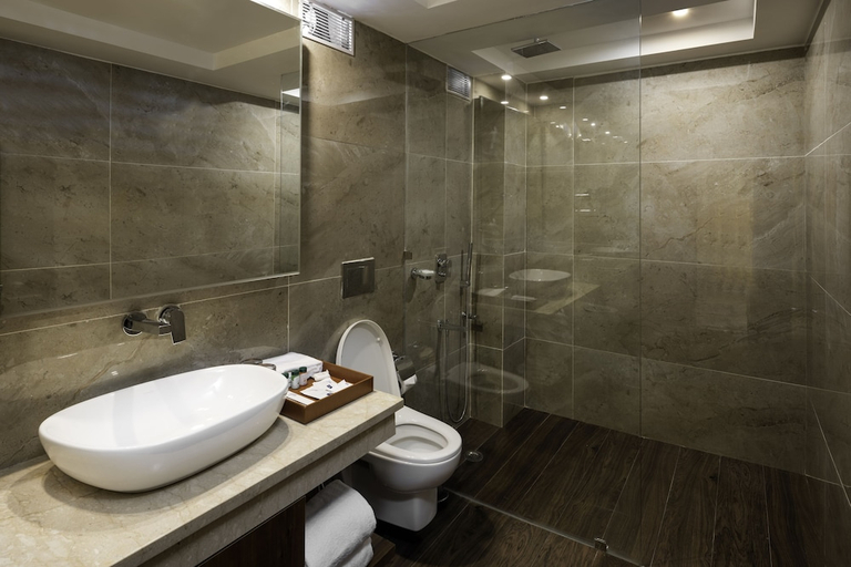 Bathroom 3, Cygnett Inn Paras, Dehradun