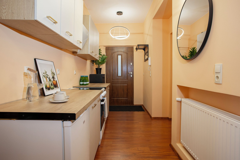 Private kitchen 5, Słoneczny Apartament - P. Wilsona i MTP, Poznań City
