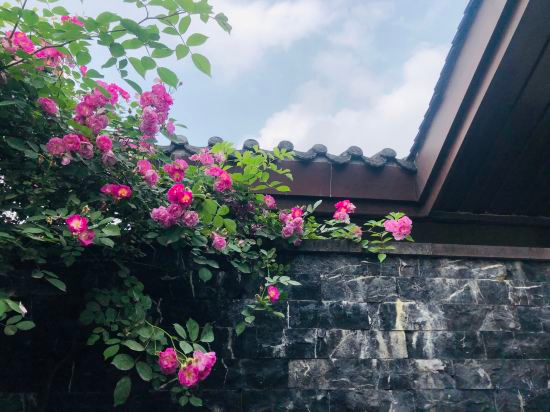 Others 4, Mount Emei View Hot Spring Soup House, Leshan