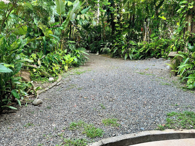Garden, Private Jungle Loft in Playa Cocles, Talamanca