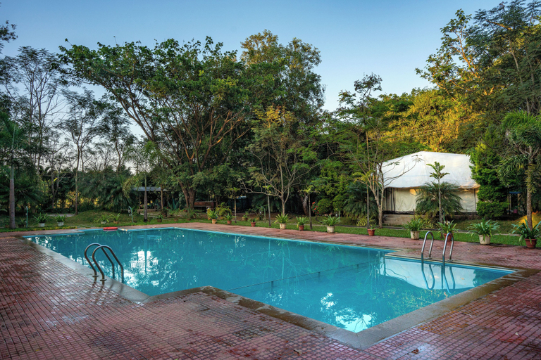 Pool 3, Dandeli Luxury Jungle Resort, Uttara Kannada