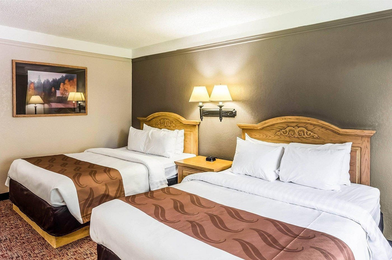 Room 4, FairBridge Inn Express Buffalo, Johnson