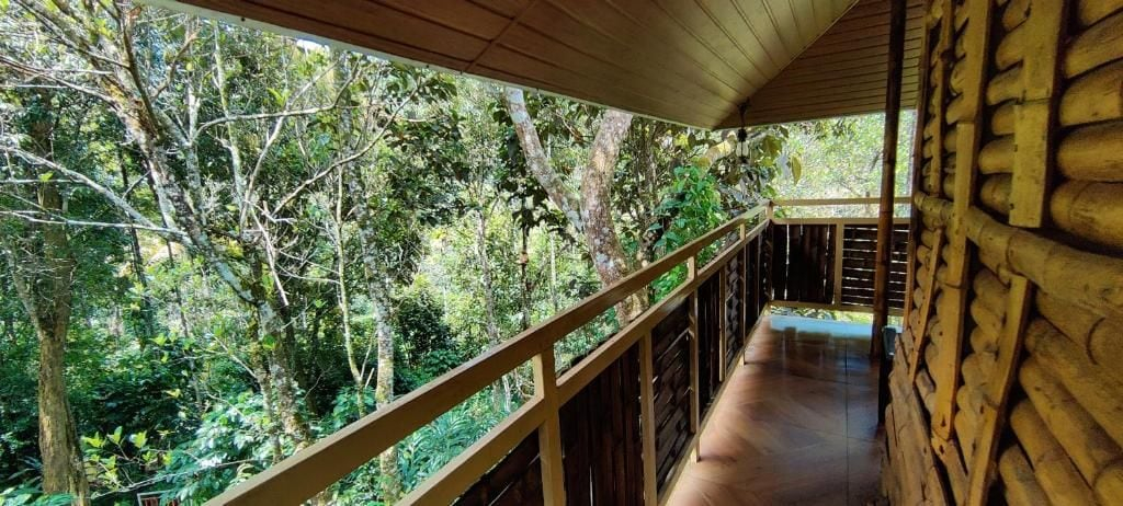 Property grounds 5, Bestinn Leisure Chalona Munnar, Idukki