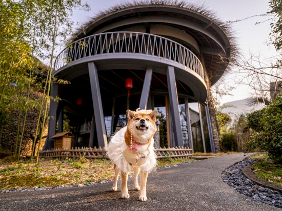 Others 3, Anji Midsummer Dream Wild Luxury Homestay, Huzhou