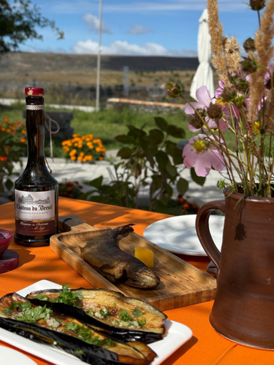 Food & Drinks 5, Panorama Dashbashi - Hotel, Tsalka