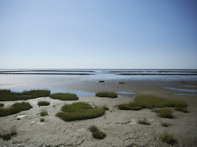 Beach, Bonde Hus Henny, Dithmarschen