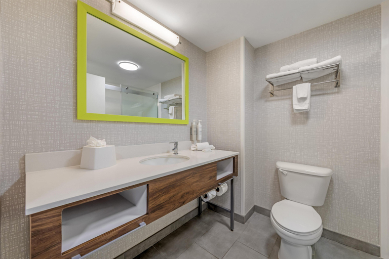 Bathroom 4, Hampton Inn Pine Grove, Schuylkill