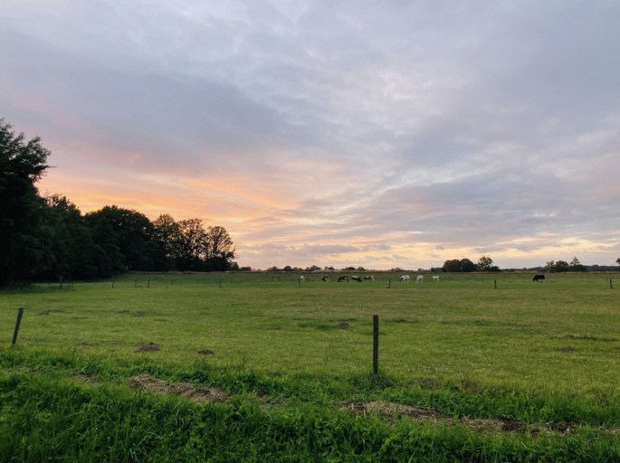 View from property 3, Handcrafted Natural Hideaway for 2, Eibergen