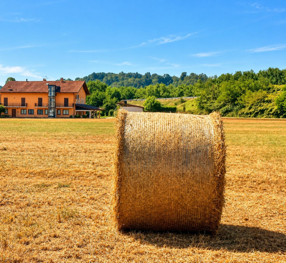 Property grounds 2, La Primarosa, Biella