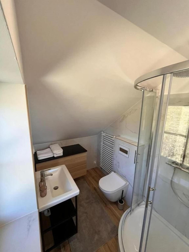 Bathroom 4, Villa Richterberg with Sauna & Hot Tub, Slovenj Gradec