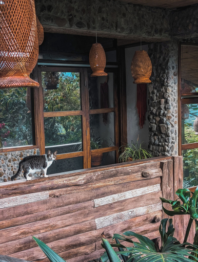 Exterior & Views 2, Casa Nativo Jardín, Jardín