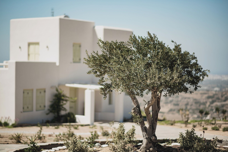 Exterior 5, Eolia Haven Collection, South Aegean