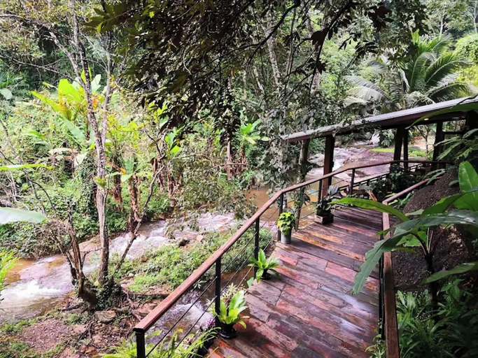 Exterior 3, The Forrest Peace Forest (Mae Kampong), K. Mae On