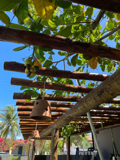 Property grounds 2, Porto de Galinhas - Serrambi - Loctemp, Ipojuca