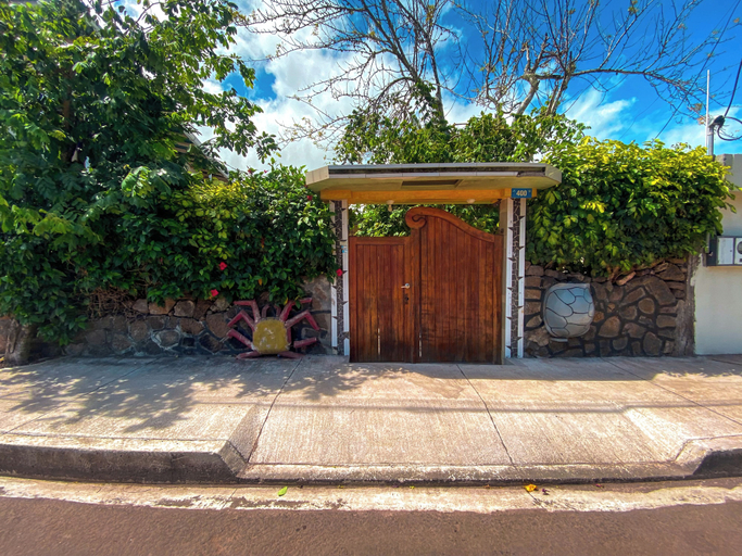 Exterior & Views, GALAPAGOS DOVE, Santa Cruz
