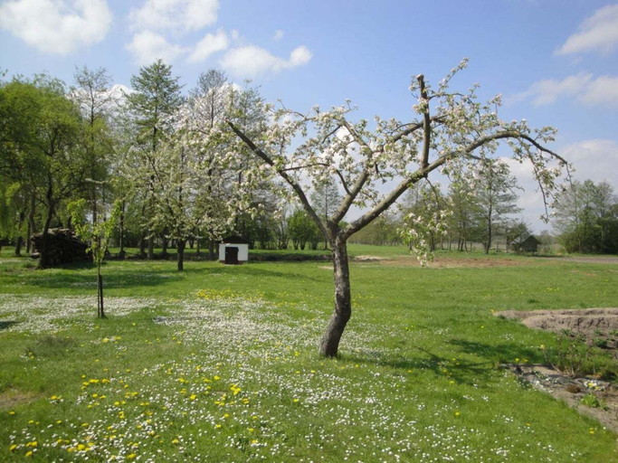 Property grounds 4, Holiday Home With 1 Bedroom, Dahme-Spreewald