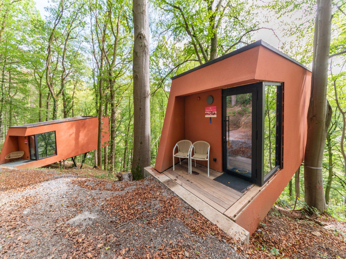 Primary image, Under the Canopy: Wood Ragwort Hut, Luxembourg