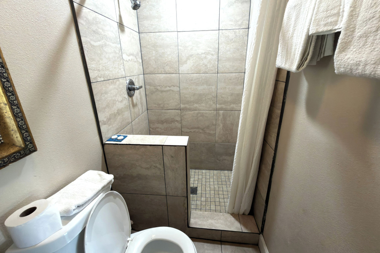 Bathroom 3, Tiger Villa Motel Lakeland I 4, Polk