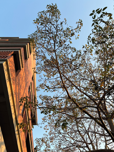 Exterior detail 4, Yu Stay, Shantou