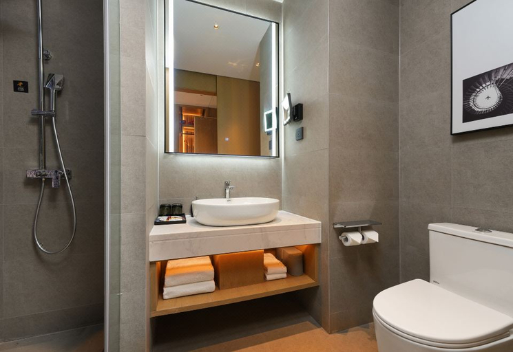 Bathroom 4, Park Inn by Radisson Kashi Dongcheng Approval Bureau, Kashgar