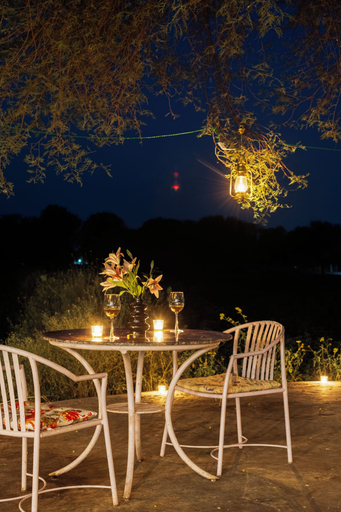 Outdoor dining 2, ELIVAAS Signature Vijaypura Bagh 6BHK, Jaipur