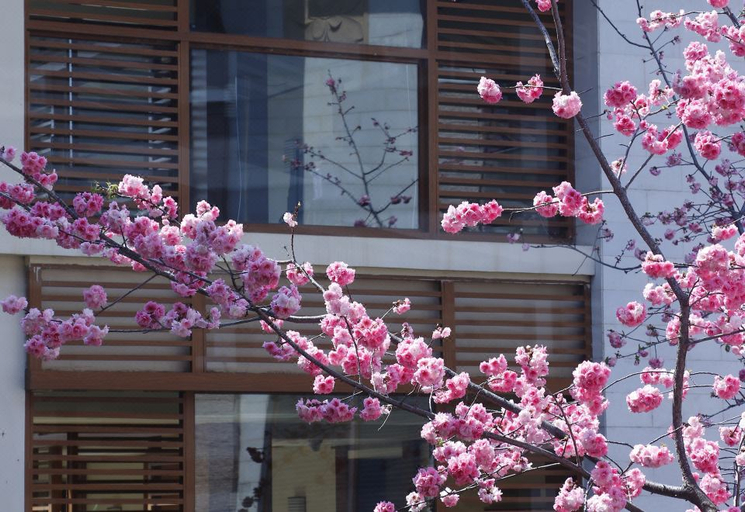 Exterior & Views 1, HUALUXE Hotels and Resorts KUNMING, Kunming