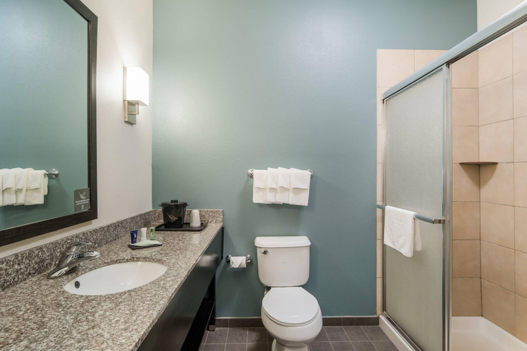 Bathroom 4, Sleep Inn and Suites at Kennesaw State University, Cobb