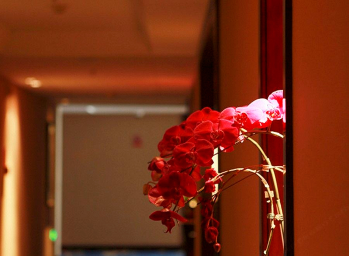 Others 3, Soluxe Hotel, Kunming