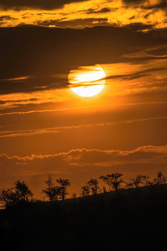 Exterior & Views 2, Jackals Lair Camp, Serengeti
