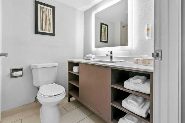 Bathroom 4, Comfort Inn & Suites Grand Blanc/Flint, Genesee
