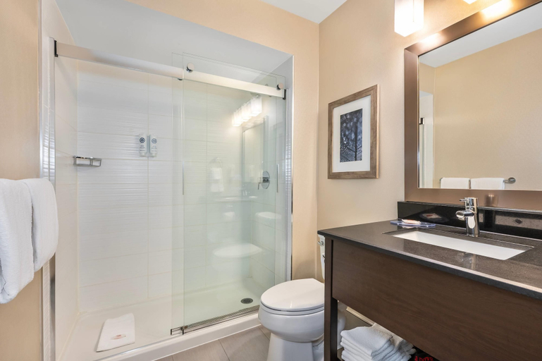 Bathroom 4, Comfort Inn Montréal Aéroport, Montréal