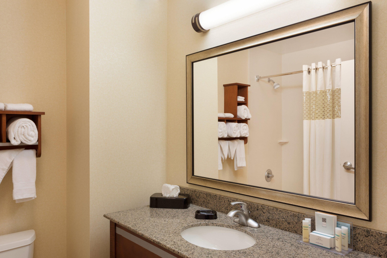 Bathroom 4, Hampton Inn & Suites Detroit/Chesterfield Township, Macomb