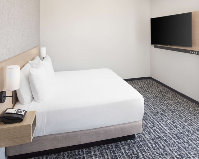 Bedroom 3, Hyatt Place Murfreesboro, Rutherford